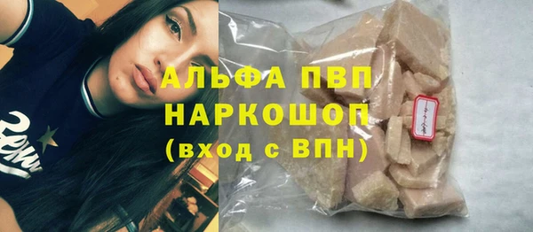 индика Аркадак