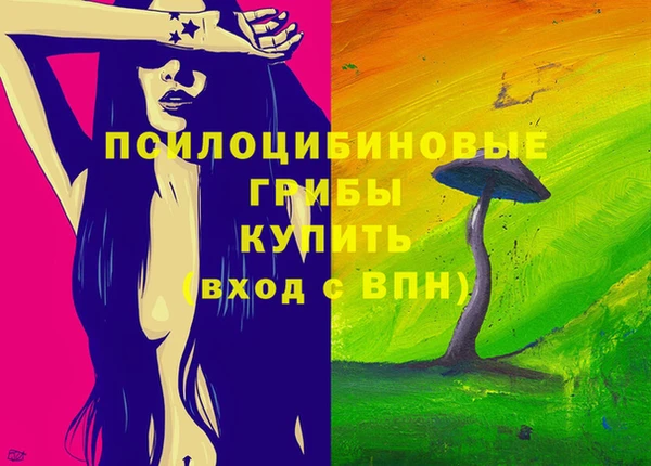 индика Аркадак