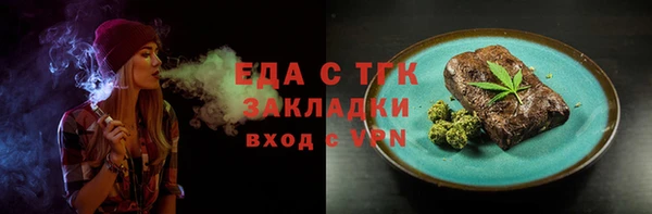 индика Аркадак