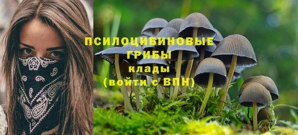 индика Аркадак