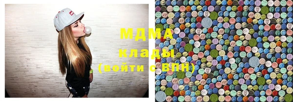 индика Аркадак