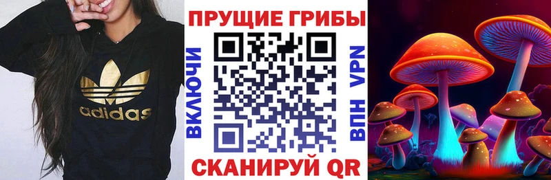 Псилоцибиновые грибы Psilocybine cubensis  KRAKEN зеркало  Киреевск 